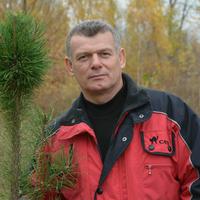 Отзыв от Алексей - DTV виза